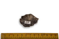 F 00922
<br/>
<br/>
<em></em>